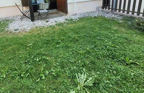 Les Rousses Wohnung | Le Flocon Superbe Appartement 5 Personnes aux Rousses en Rez de Jardin 🌲