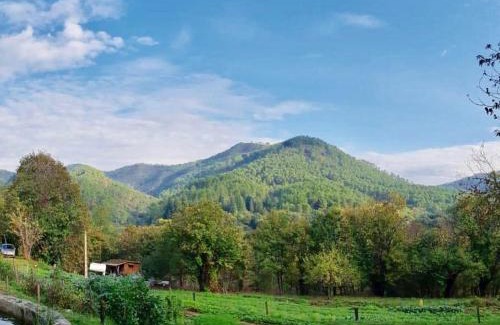 Saint-Jean-du-Gard Haus | Le Gîte - La Ferme du Pouget