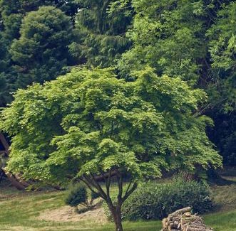 Plogastel-Saint-Germain Skihütte | Le Jardin Saint Germain Lodges and Events