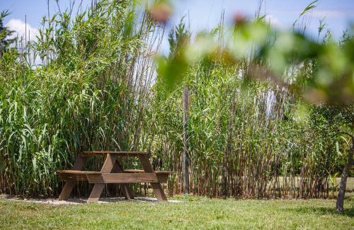Capestang Haus | Le Petit Viala