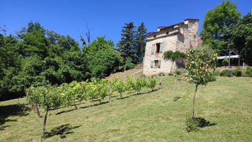 Caylus Haus | Le pigeonnier de felines