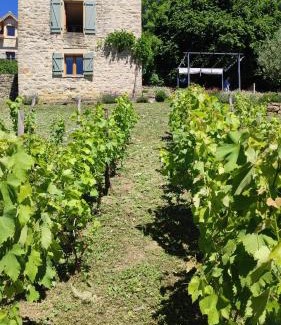 Caylus Haus | Le pigeonnier de felines