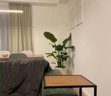 Timisoara Wohnung | Leafy Haven Hideout!