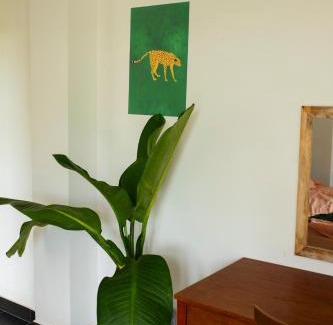 Duong To Haus | Lecolau Villa