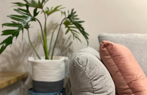 Hualien City Centre Bed & Breakfast | LeeHo B&B 李何寓所