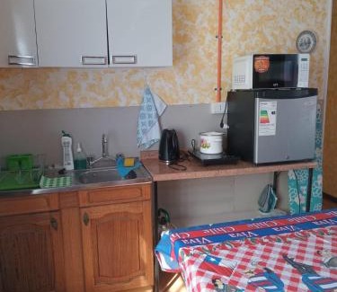 Punta Arenas Wohnung | Lenga