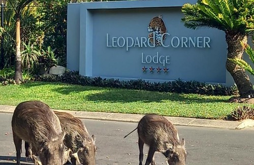 St. Lucia Kabine | Leopard Corner Lodge