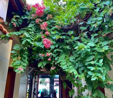 Duong Dong Hotel | Liên Tho Hotel Phú Quốc