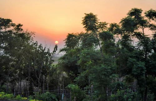 Kharar Haus | Likhyani Permaculture Farm