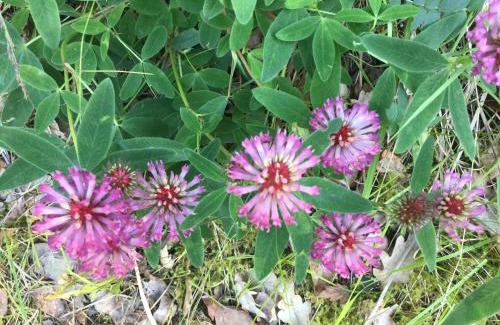 Varmdo Haus | Lillstuga Strömma