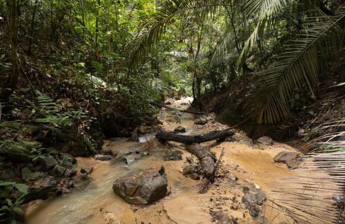 Hulu Selangor Haus | LilyJoe Treehouse Serendah