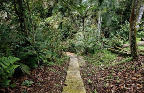 Hulu Selangor Haus | LilyJoe Treehouse Serendah