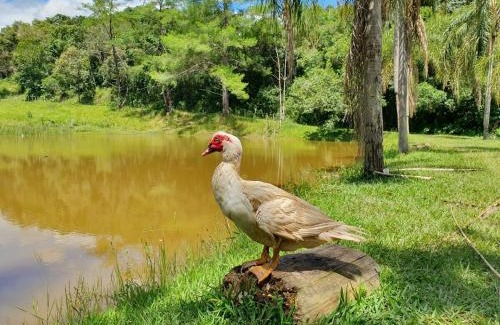 Itatiba Haus | Lindo sítio com pesca, trilhas, piscina, barco e muita diversão
