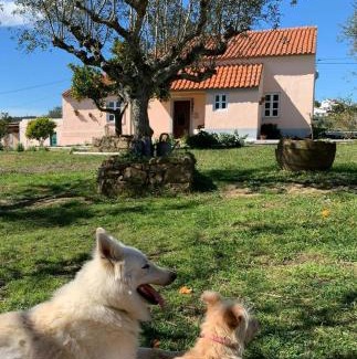Envendos Haus | Linhal das Meias - São José das Matas