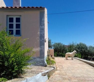 Envendos Haus | Linhal das Meias - São José das Matas