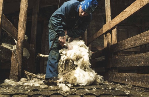 Egilsstadir Haus | Litlabjarg Guesthouse