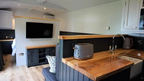 Llanfyllin Haus | Little Acorn - Luxury shepherd's hut/lodge with private hot tub and garden