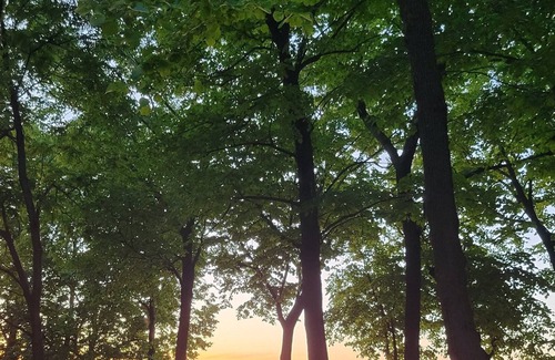 Madison Lake Haus | Living Large on Lake Front Luxury