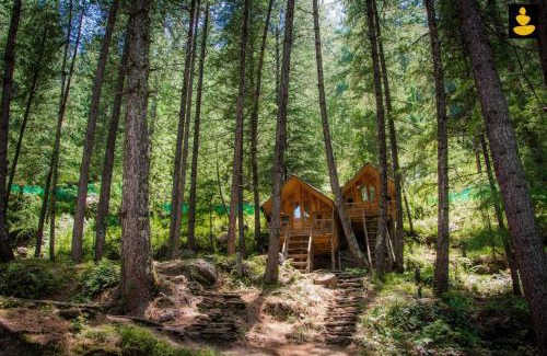 Kotkhai Skihütte | LivingStone Ojuven Treehouses