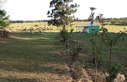 Federacion Haus | Lo Pituco casa de campo