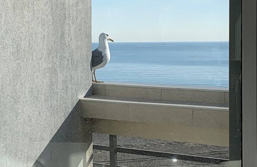 Canet-Plage Wohnung | Location T3 - Superbe vue mer