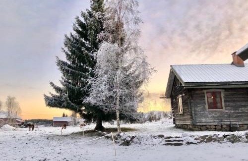 Hassela Haus | Log Cabin from 1820s with wood-heated sauna