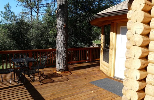 Whispering Pines Kabine | Blockhaus in den Kiefern, Baumhaus mit schwingender Brücke, schöner Strom in der Nähe