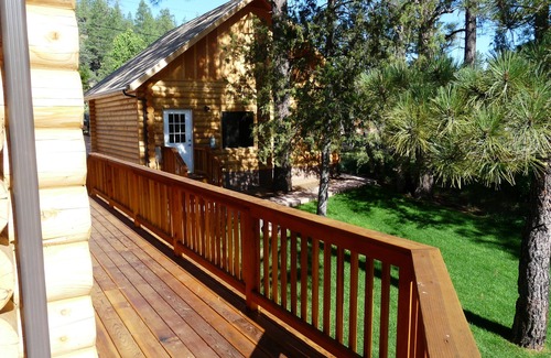 Whispering Pines Kabine | Blockhaus in den Kiefern, Baumhaus mit schwingender Brücke, schöner Strom in der Nähe