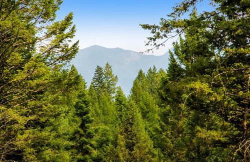Bigfork Haus | Log Cabin Lookout