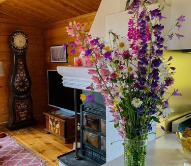 Mora Haus | Log Cabin Near Vasaloppet Ski Trail In Gopshus