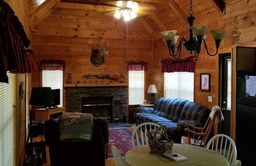Cedar Mountain Kabine | Blockhaus, Forellenteich auf 17 Hektar, in der Nähe von Dupont State Forest, sehr privat