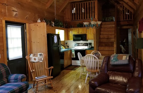 Cedar Mountain Kabine | Blockhaus, Forellenteich auf 17 Hektar, in der Nähe von Dupont State Forest, sehr privat