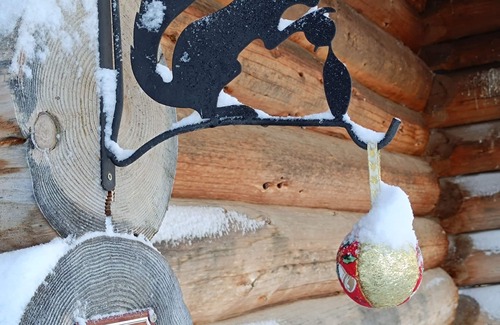 Les Chalesmes Skihütte | Log cabin with sheltered terrace, pets welcome