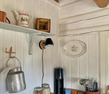 Folldal Haus | Log Cabin With Views Of Rondane Mountains