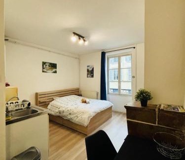 Lons-le-Saunier Wohnung | Lons City Studio