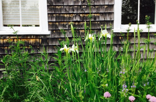 Brooksville Hütte | Lords Cove-Häuschen in Brooksville Maine