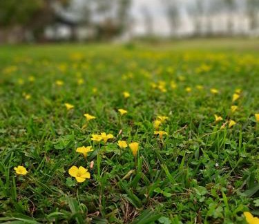 Villa Ramallo Hotel | Los Abu Dormis