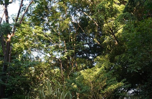 Puerto Jimenez Kabine | Los Mineros Guesthouse