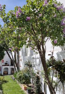 Buendia Haus | LOS SUEÑOS DE BUENDÍA