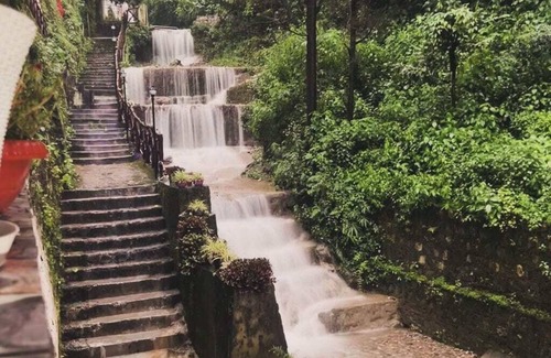 Mussoorie Kabine | Lose yourself in Nature