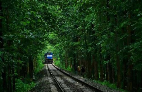 Malappuram Haus | Lose yourself in natures luxury