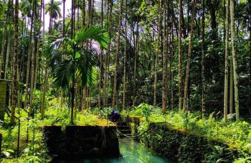 Malappuram Haus | Lose yourself in natures luxury