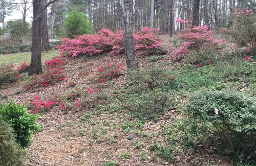 Alpine Bay Haus | Schöne Lake Home mit herrlichem Blick - Kontakt mit dem Besitzer zuerst Verfügbarkeit
