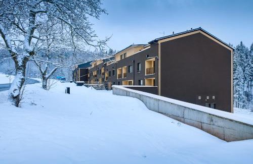Cerny Dul Wohnung | Luční apartmán Jurajda