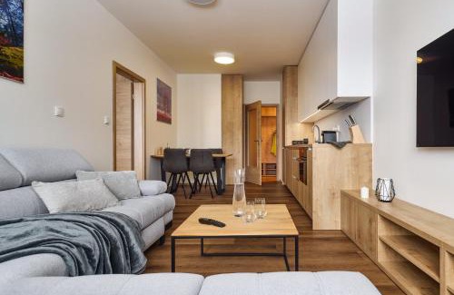 Cerny Dul Wohnung | Luční apartmán Jurajda