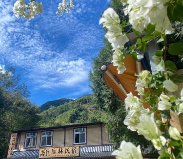 Wufeng Haus | Lu-Lin B&B