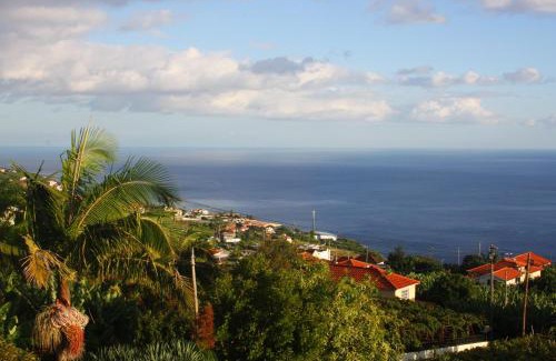 Estreito da Calheta Wohnung | Lugar dos Louros 1