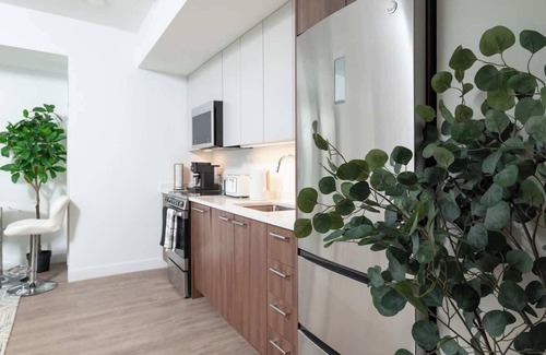 Central Square Wohnung | Lux Studio 2x Queen beds Gym near MIT Harvard in Central Square