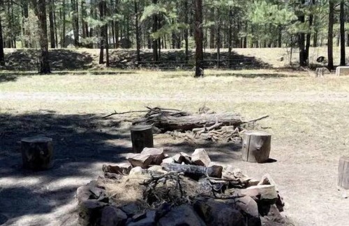 Alpine Wohnung | Luxe cabin getaway in the tall pines of Alpine AZ