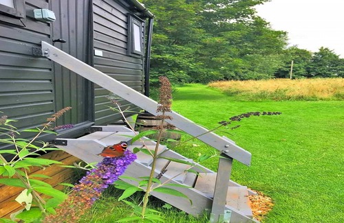 Swannington Haus | Iris Bell Tent schöne Wohnung